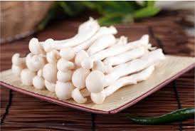 Seafood Mushrooms海鲜菇