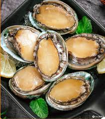 Abalone 鲍鱼