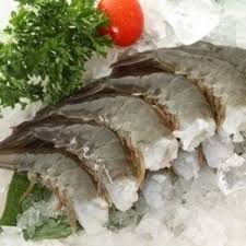 Tiger shrimp 老虎虾