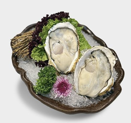 Oyster 生蚝